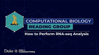 How to Perform RNAseq Analysis [upl. by Aierdna]