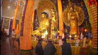 International Buddhist Temple introduction video English [upl. by Acinelav690]