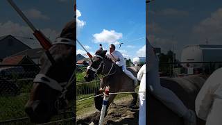 🐎 Ringrijden Aagtekerke Netherlands🇳🇱 TravelwithHugoF ringrijden aagtekerke horses [upl. by Eneloc]