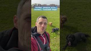 When Did Professional Victim Become A Voluntary Job Use That Time To Train Your Dog dog dogwalk [upl. by Ahsait500]