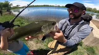 How to catch a Bass on a Bed  Axehead Lake Cook County Illinois Fishing tips Sight Fishing Bass [upl. by Quar]