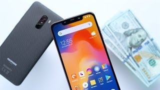 The Truth About the Pocophone F1 [upl. by Tremml942]