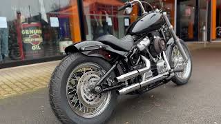 Cheltenham Harley Davidson 2021 Softail Standard Custom [upl. by Nnyw]