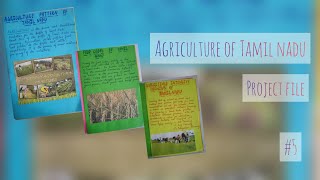 Agriculture of Tamil Nadu  Project file  HHw Hacks 5 [upl. by Rozelle]