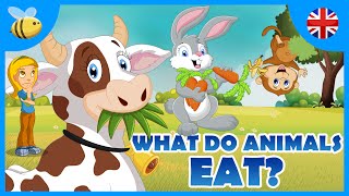 What do Carnivores Herbivores and Omnivores Animals Eat  Kids Videos [upl. by Culver679]