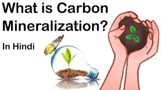 Carbon Mineralization क्या हैं CO2 reacts with rocks to form minerals Current Affairs 2018 [upl. by Enomis]