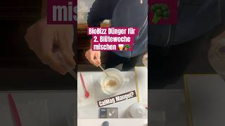 BioBizz Blütedünger mischen 🥃🥦 grow brokkoli dünger düngen tips plants gardening organic [upl. by Spooner805]