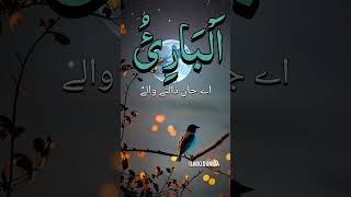 AlBari  Allah ke naam  ilmkiduniya ilmkibatein islamicstatus 99namesofallah shortvideo [upl. by Naji540]