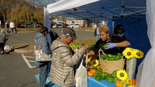 Independence Blue Cross offers unique programming focused on healthy aging and holistic health [upl. by Anairad660]