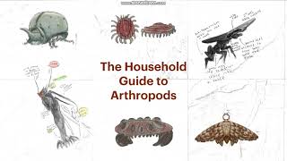 The Household Guide to Arthropods Official Bumper Video [upl. by Atenik850]