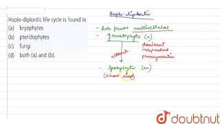 Haplodiplontic life cycle is found in [upl. by Cissiee]