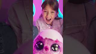 Hatchimals Alive Secret Hatch Draggle  Fire amp Water [upl. by Vastah]