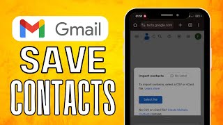 How To Save Contacts In Gmail 2024 Easy Guide [upl. by Abibah]