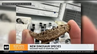 New dinosaur species discovered [upl. by Oilut]