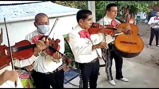 Las trompetas del diablo 🎵 Mariachi Hidalguense 🎺🎻🎸🎼 Sanfelipe Orizatlán hgo 🌎 2021 [upl. by Kirshbaum]