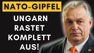 Ungarischer Wutausbruch NATOGipfel endet mit heftigem Eklat [upl. by Beffrey]