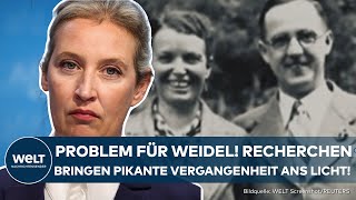 ALICE WEIDEL Recherchen bringen Familiengeschichte ans Licht Großvater war ranghoher Nazi [upl. by Hamish]