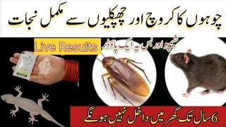 Get rid of mouse chuhe bhagane ka tarika cockroach killer Get ridof lizard Quick rat killerAmna [upl. by Edwin404]