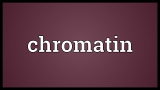 Chromatin Meaning [upl. by Pippo]