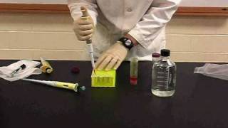 Protein Methods 2010  Dilutions with Chromophores no audio [upl. by Bois541]