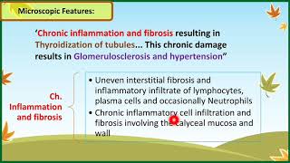 Acute Pyelonephritis And Chronic Pyelonephritis  Pathology [upl. by Parcel]