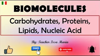 Biomolecules  Classification of Biomolecules  Carbohydrates Proteins Lipids and Nucleic Acids [upl. by Eetsud]