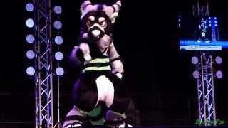 Anthrocon 2014  Fursuit Dance Competition  Tayerr [upl. by Albertina]