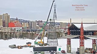 Bentleyville Christmas Tree removal 01252020 [upl. by Donnamarie806]