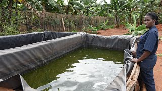 Start Fish Farming Agribusiness  Farming The Future [upl. by Nyluqcaj526]