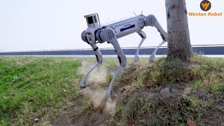 Quadruped Robot Dog B2 with Advanced Perception and Robustness [upl. by Zeni]