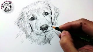 Técnicas y Tips de Dibujo con Lápiz de Grafito y Cómo Dibujar un Perro a Lápiz [upl. by Odele217]