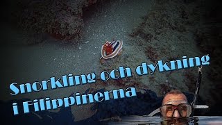 Dykning och snorkling i Filippinerna [upl. by Mairem158]