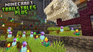 I ADDED Features Minecraft Wont  Trails and Tales   Update 4 [upl. by Netsrik705]