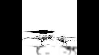 Tyrannosaurus Rex And Gorgosaurus Size Comparison [upl. by Freda989]