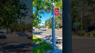 Cupertino DiariesA Variety Of Architecture travelvlog Cupertino city California travel [upl. by Roose]