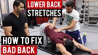 Stretches for LOW BACK PAIN Hindi  Punjabi [upl. by Averell713]