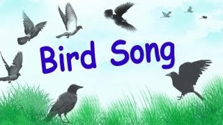 1 Hour of Relaxing Bird Songs in Wood Birds Chirping [upl. by Noryv]