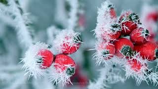 The beautiful  Snow Falling Fast  by our own Rob Pinnock [upl. by Cyndia586]