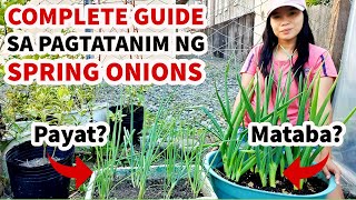 How to Grow Spring Onions from Kitchen Scraps – Easy DIY Gardening Hack [upl. by Attiuqal]