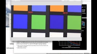 😍 Proof the NIKON D850 has better saturation amp WHY [upl. by Joshi]