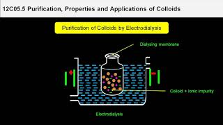 1 12C055 CV1 Purification of Colloidal solutions [upl. by Mooney]