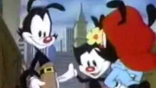 Animation in Animaniacs the 8 studios behind the cartoon [upl. by Thurstan]