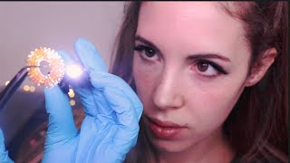 ASMR Ear Cleaning  Extracting Things From Your Ears [upl. by Amorita]