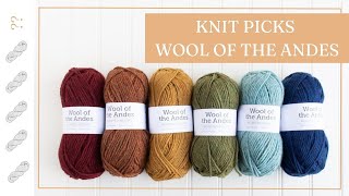 Wool of the Andes Worsted by Knit Picks Yarn Review  Untwisted Threads [upl. by Adnarb]