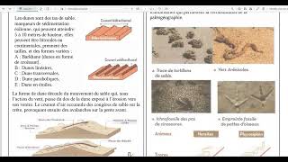 10Fentes de dessication et stratification croisée [upl. by Peace616]