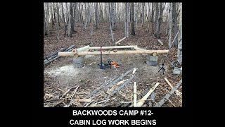 Backwoods Camp 12 Cabin Log Work Begins [upl. by Tannenbaum]