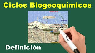 ⭐Definición Ciclos Biogeoquímicos 📚enClase Biología [upl. by Jt]