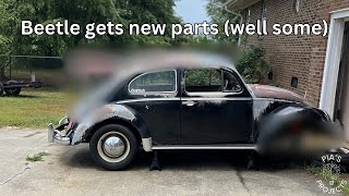 Beetle Gets New Parts [upl. by Nitsraek]