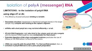 nucleic acid extraction methods part 2 [upl. by Jerrilee]