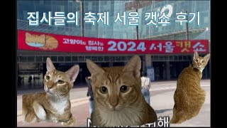 서울 캣페스타 다녀온 후기 cat festival [upl. by Olecram]